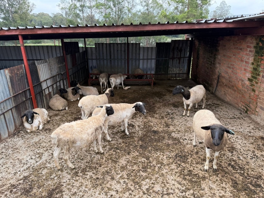 Commercial Property for Sale in Swartruggens North West